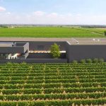 Weingut Schneider Ellerstadt, Neubau